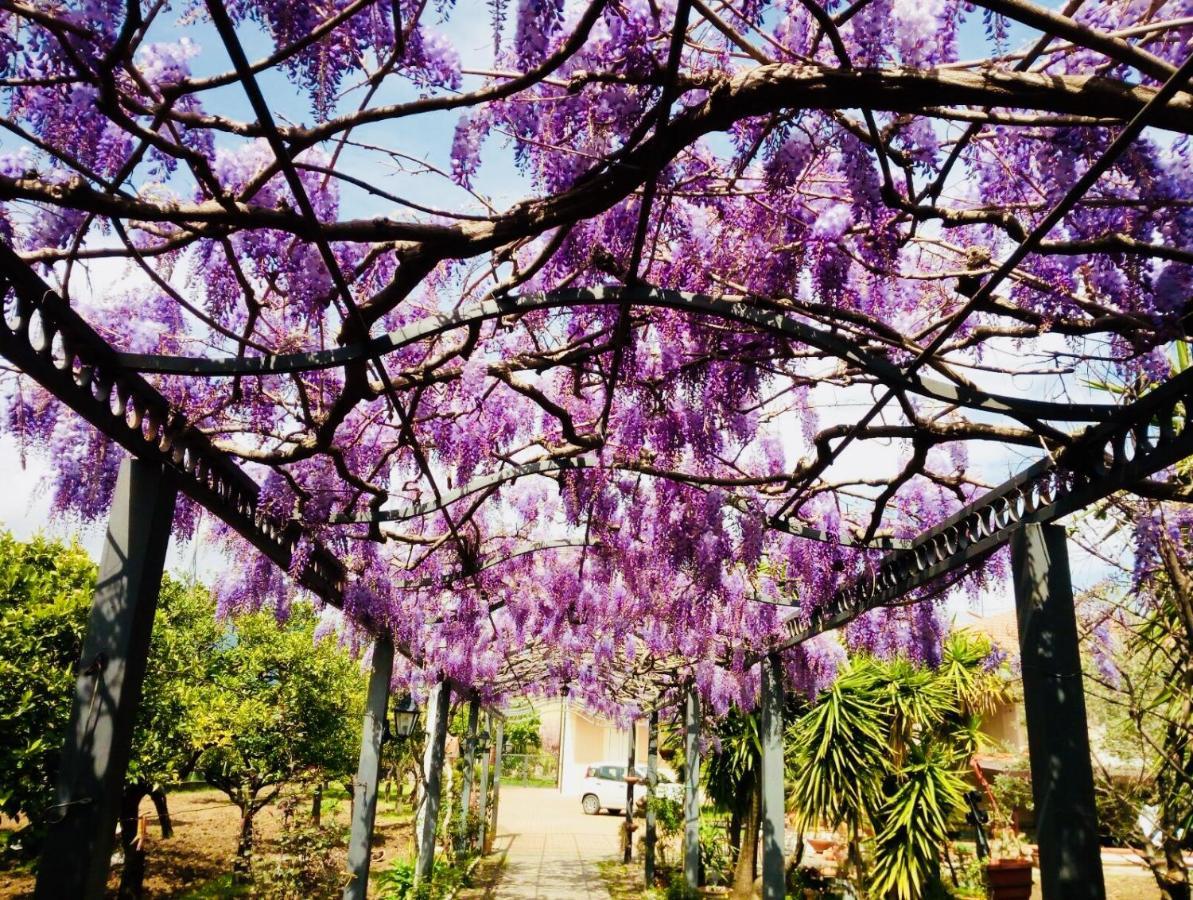 كامبانيا B&B San Paolo المظهر الخارجي الصورة