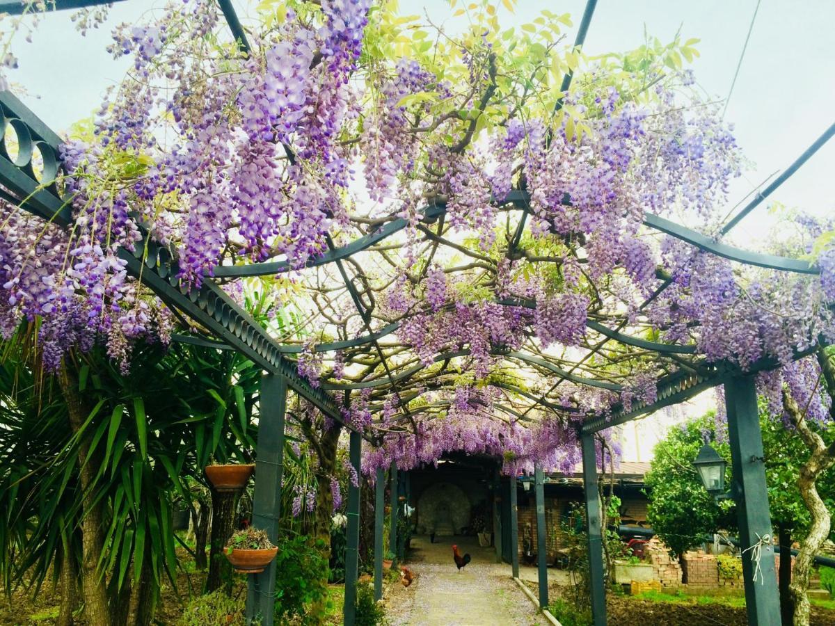 كامبانيا B&B San Paolo المظهر الخارجي الصورة